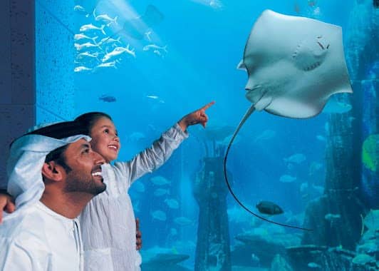 Lost World Aquarium at Aquaventure World photo 6