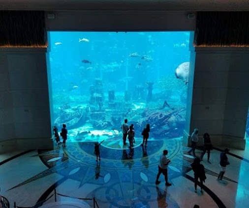 Lost World Aquarium at Aquaventure World photo 7