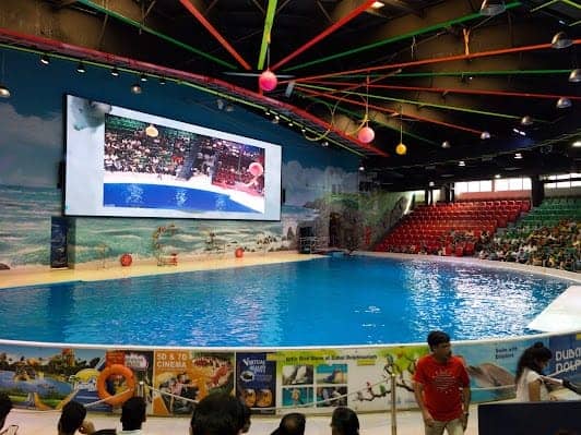 Dubai Dolphinarium photo 7