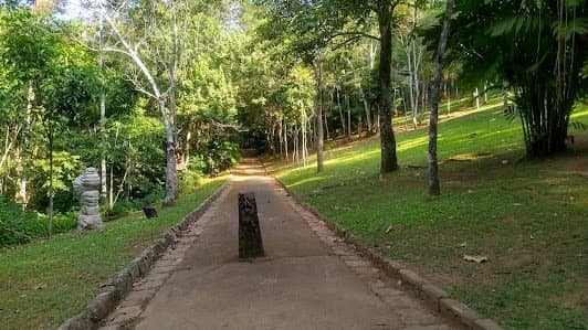 Parque Natural Municipal da Cidade photo 3