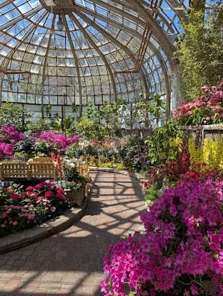 Lincoln Park Conservatory (FREE Tickets Required) photo 2