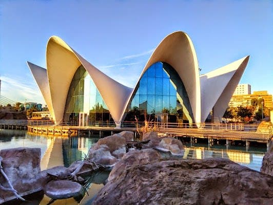 Oceanogràfic València