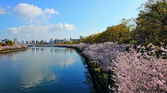 Kema Sakuranomiya Park