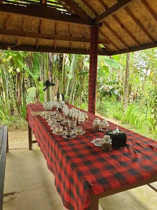 Pure Luwak Coffee Bali photo 6