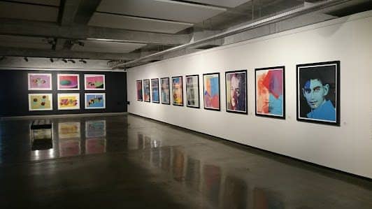 Wits Art Museum photo 7