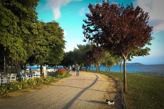 Fenerbahçe Parkı photo 6