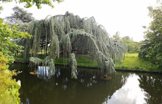 Parc de la Vallée aux Loups