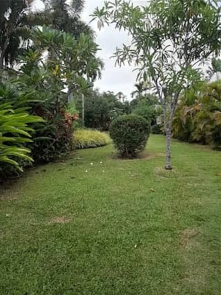 Buterfly park photo 6