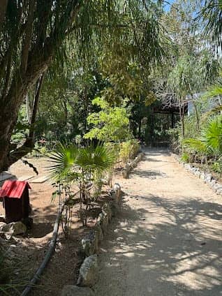 Parque Ecológico Kabah photo 7