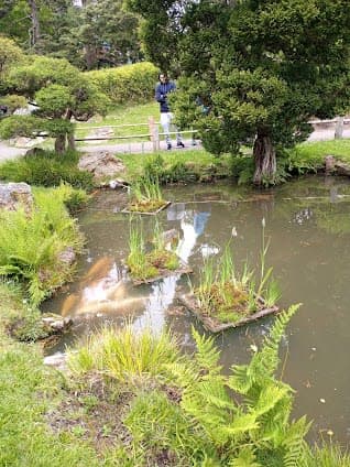 Golden Gate Park