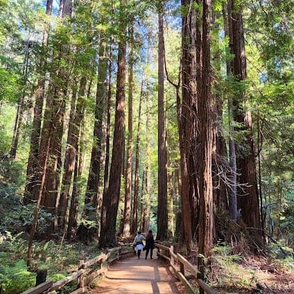 Muir Woods National Monument