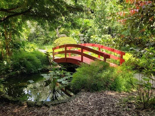 Miami Beach Botanical Garden photo 6