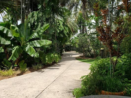 Miami Beach Botanical Garden photo 7