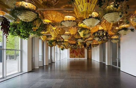 Museum Of Contemporary Art Chicago photo 6