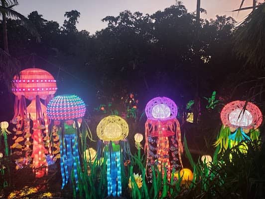 Jungle Island photo 7