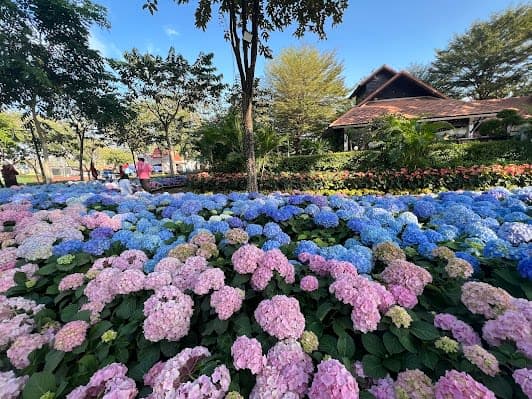 Chiang Mai Chaloem Phrakiat Park