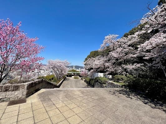 Fujimidai Observation Deck