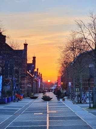 10 days in Amsterdam and Rotterdam: itinerary with Top attractions and Hidden Gems itinerary cover