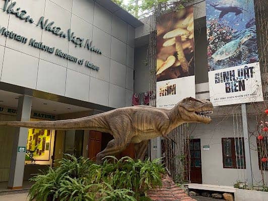 Vietnam National Museum of Nature photo 6
