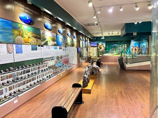 Vietnam National Museum of Nature photo 7