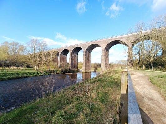 Reddish Vale Country Park photo 6