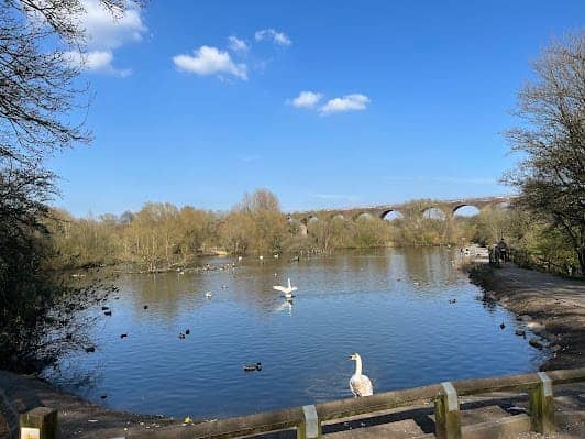Reddish Vale Country Park photo 7