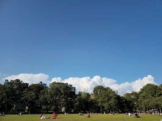 The Meadows