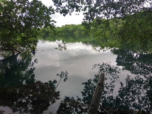 Cenote Azul photo 7