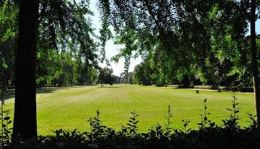 Parco delle Cascine photo 6