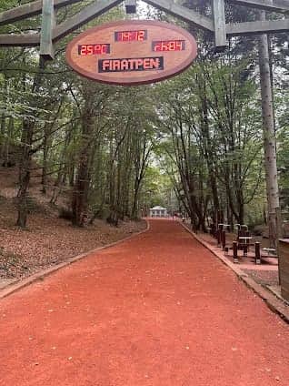 Belgrad ormanı photo 6