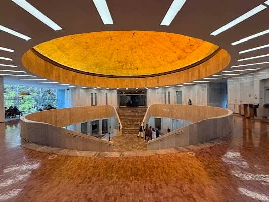 Museo de Arte Moderno photo 7