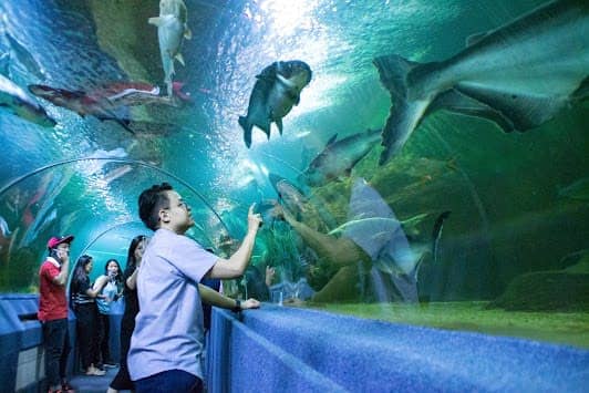Chiang Mai Zoo Aquarium photo 6
