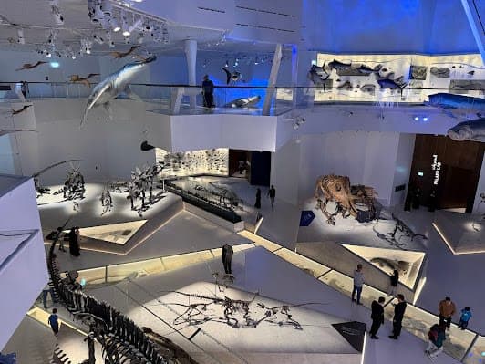 Natural History Museum Abu Dhabi