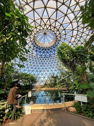 Brisbane Botanic Gardens Mt Coot-tha