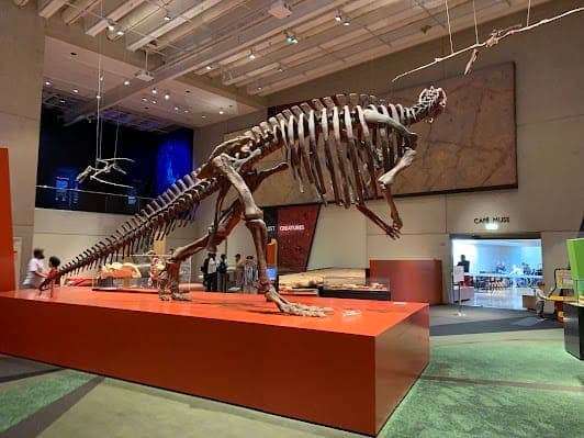 Queensland Museum Kurilpa