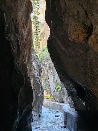 Cueva de Las Palomas