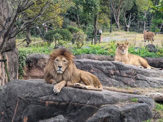 Tennoji Zoo photo 7
