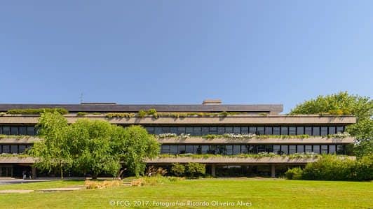 Calouste Gulbenkian Foundation photo 6