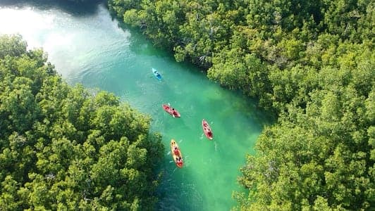 Conexión Nativa Cancún