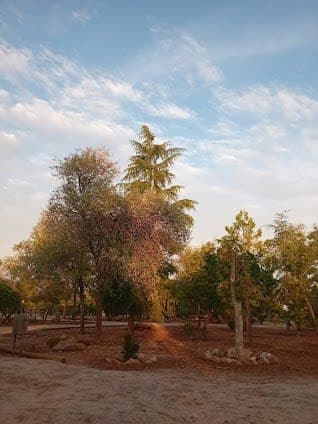 Adolfo Suárez Park