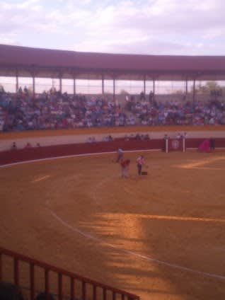 Plaza de Toros de Madridejos