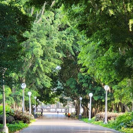 Hyde Park photo 7