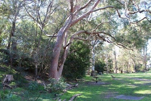 Loyal Henry Park