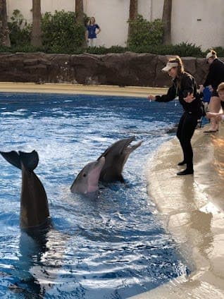 Secret Garden & Dolphin Habitat