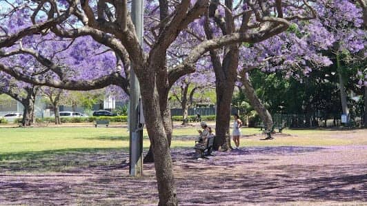 New Farm Park photo 7