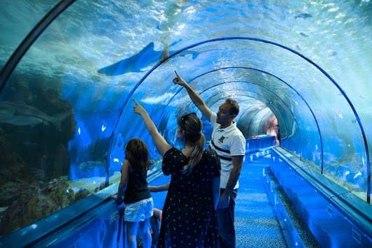 Marineland photo 6