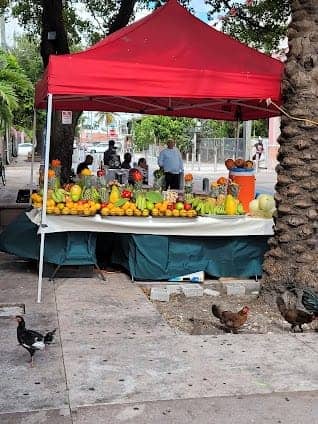 Little Havana photo 7