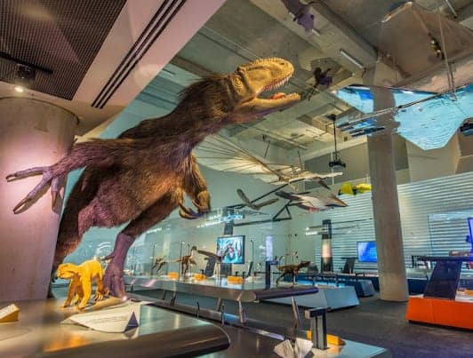 Phillip & Patricia Frost Museum of Science photo 7