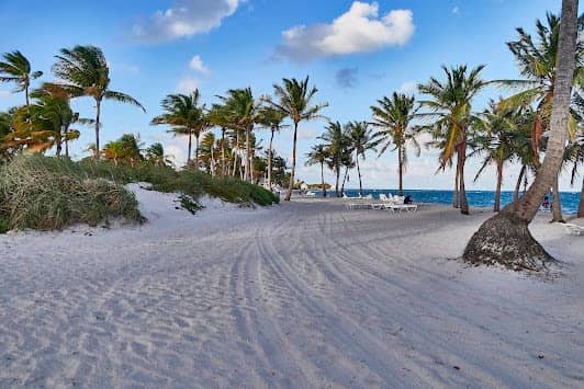 Crandon Park photo 7