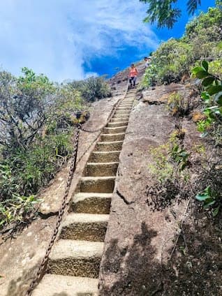 Pico da Tijuca